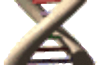 u-haul-box-truck-for-sale-craigslist-your-comprehensive-guide-to-a-smart-purchase